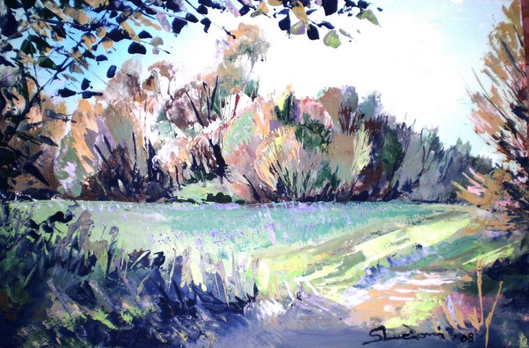 2010 • Bosco con prato