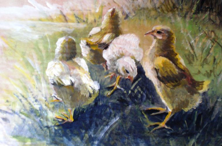 2011 • Pulcini in controluce