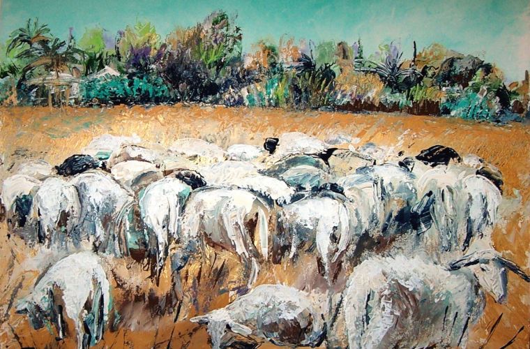 2004 • Gregge di pecore