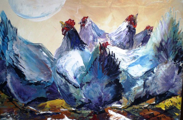 2013 • Galline azzurre all'alba