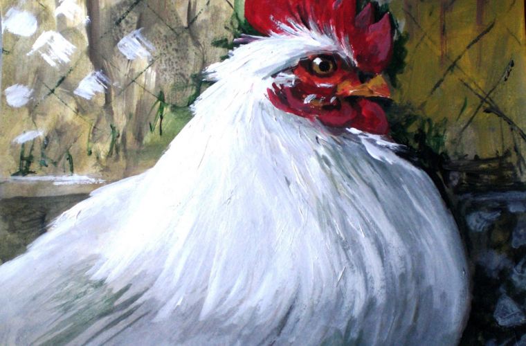 2011 • Gallo della volpe