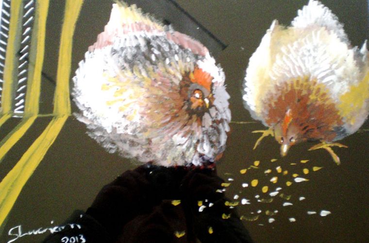 2013 • Galline su fondo nero