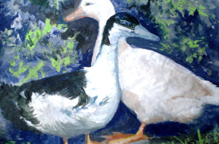 2011 • Paperi di Michela