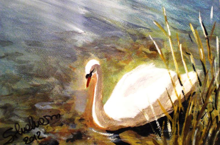 2012 • Cigno sul lago Varese